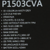 15.6" Ноутбук ASUS ExpertBook P1503CVA-S70351X серый